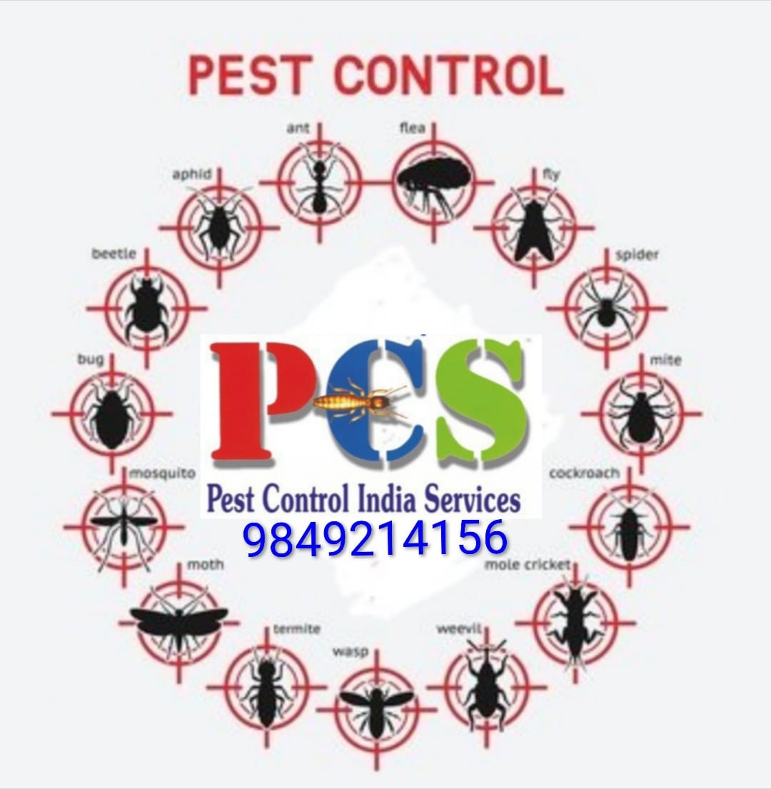 Pest Control Services